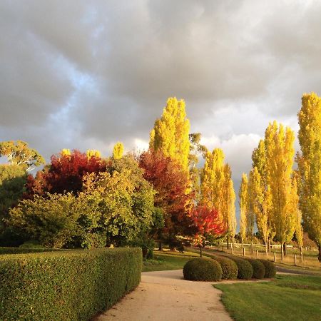 גלן אינס Glen Waverly Farmstay מראה חיצוני תמונה