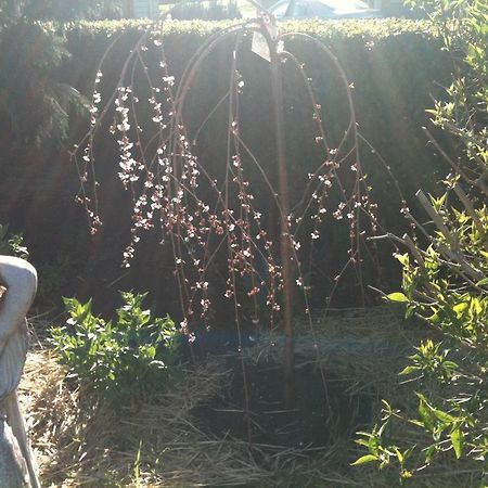 גלן אינס Glen Waverly Farmstay מראה חיצוני תמונה