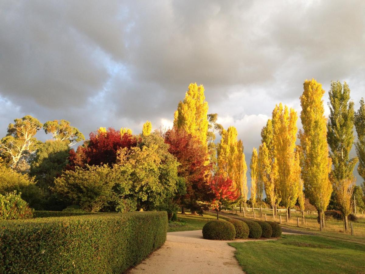 גלן אינס Glen Waverly Farmstay מראה חיצוני תמונה