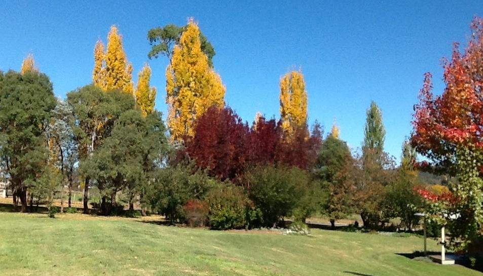 גלן אינס Glen Waverly Farmstay חדר תמונה