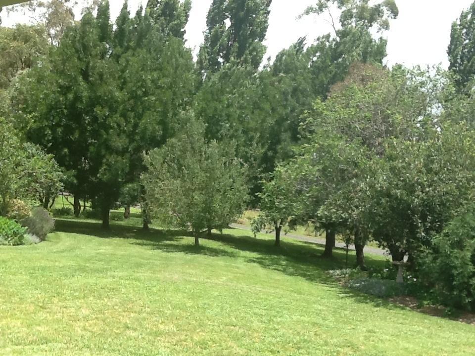 גלן אינס Glen Waverly Farmstay חדר תמונה