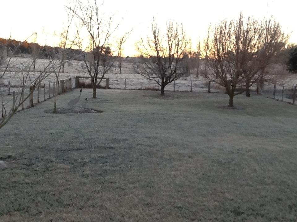 גלן אינס Glen Waverly Farmstay מראה חיצוני תמונה
