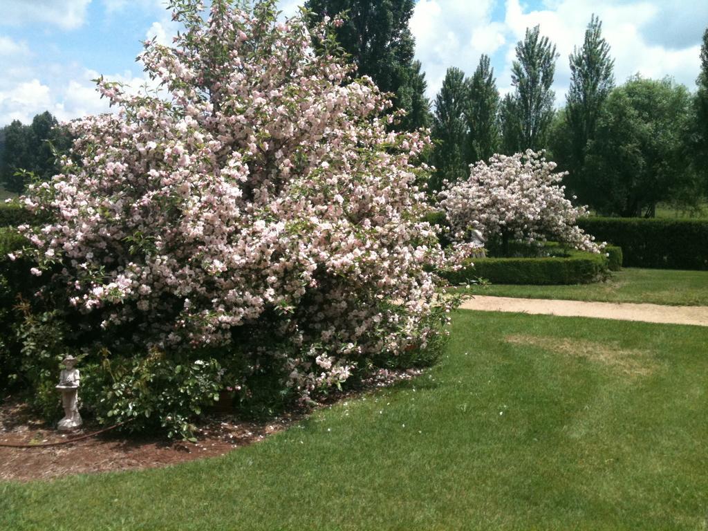 גלן אינס Glen Waverly Farmstay מראה חיצוני תמונה
